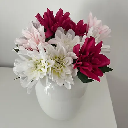 شقة Matedo - Casa Matedo مونوبولي